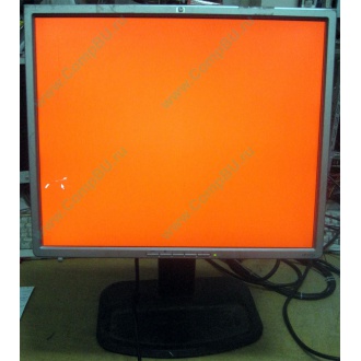 Монитор 19" TFT HP 1955 (DVI в Владимире, USB-хаб) "квадратный" (Владимир)