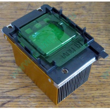 Радиатор HP p/n 279680-001 (socket 603/604) - Владимир