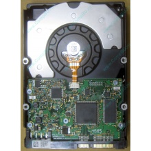 HDD Sun 500G 500Gb в Владимире, FRU 540-7889-01 в Владимире, BASE 390-0383-04 в Владимире, AssyID 0069FMT-1010 в Владимире, HUA7250SBSUN500G (Владимир)