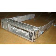 Салазки Sun 350-1386-04 в Владимире, 330-5120-04 1 для HDD (Владимир)
