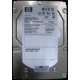 HP 454228-001 146Gb 15k SAS HDD (Владимир)