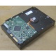 Жесткий диск HP 250Gb 7200 rpm 432337-001/ 399699-001 / 397377-004 (Владимир)