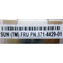 Серверная память SUN (FRU PN 371-4429-01) 4096Mb (4Gb) DDR3 ECC в Владимире, память для сервера SUN FRU P/N 371-4429-01 (Владимир)