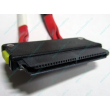 SATA-кабель для корзины HDD HP 451782-001 459190-001 для HP ML310 G5 (Владимир)
