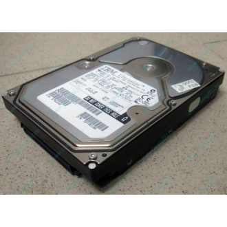 Жесткий диск 18.2Gb IBM Ultrastar DDYS-T18350 Ultra3 SCSI (Владимир)