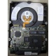 Жесткий диск 18.2Gb IBM Ultrastar DDYS-T18350 Ultra3 SCSI (Владимир)