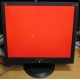 Монитор 19" ViewSonic VA903b (1280x1024) есть битые пиксели (Владимир)