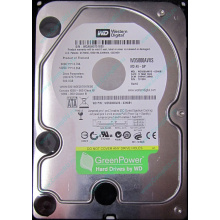Б/У жёсткий диск 500Gb Western Digital WD5000AVVS (WD AV-GP 500 GB) 5400 rpm SATA (Владимир)