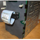 HP 365664-001 кабель SCSI для корзины 373108-001 / 359719-001 HP ML370G4 (Владимир)
