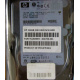 Жёсткий диск 146.8Gb HP 365695-008 404708-001 BD14689BB9 256716-B22 MAW3147NC 10000 rpm Ultra320 Wide SCSI купить в Владимире, цена (Владимир).
