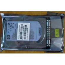 HDD 146.8Gb HP 360205-022 404708-001 404670-002 3R-A6404-AA 8D1468A4C5 ST3146707LC 10000 rpm Ultra320 Wide SCSI купить в Владимире, цена (Владимир)