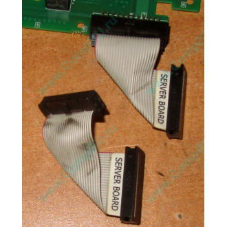6017B0045701 Шлейф 24 pin для Intel C74974-401 T0043401-B01 корпуса SR2400 (Владимир)