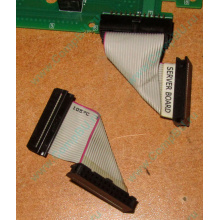 6017B0045701 Шлейф 24 pin для Intel C74974-401 T0043401-B01 корпуса SR2400 (Владимир)