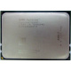 AMD Opteron 6128 OS6128WKT8EGO (Владимир)
