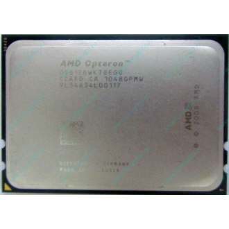 AMD Opteron 6128 OS6128WKT8EGO (Владимир)
