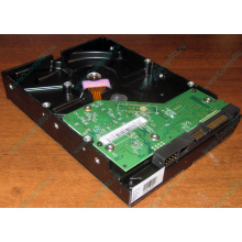 Жесткий диск 500Gb WD WD5000AAKX HP 634605-003 613208-001 7.2k SATA (Владимир)