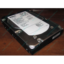 Жесткий диск 300Gb 15k Dell 9CH066-050 6G SAS (Seagate Cheetach ST3300656SS 15K.6) - Владимир