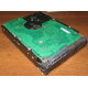 Жесткий диск 300Gb 15k Seagate Cheetach ST3300656SS 15K.6 Dell 9CH066-050 6G SAS (Владимир)